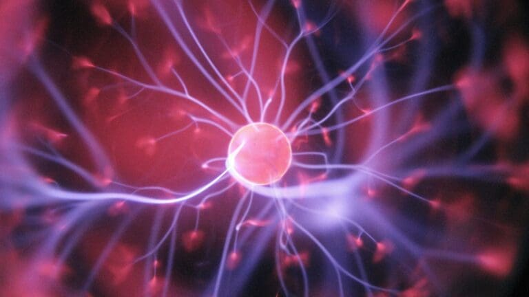 imagen de una célula activa en colores violetas y magentas