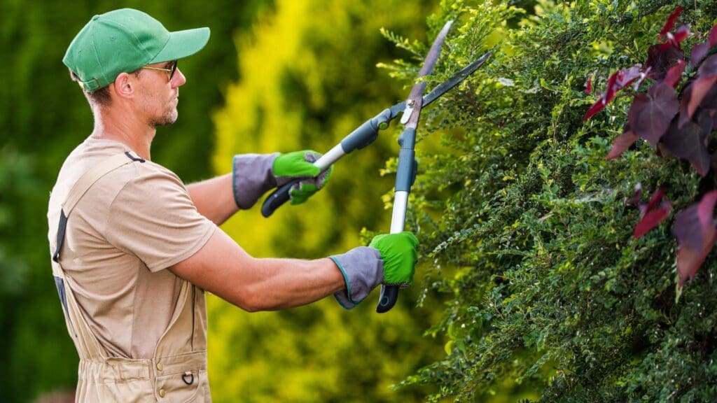 servicio de jardinería