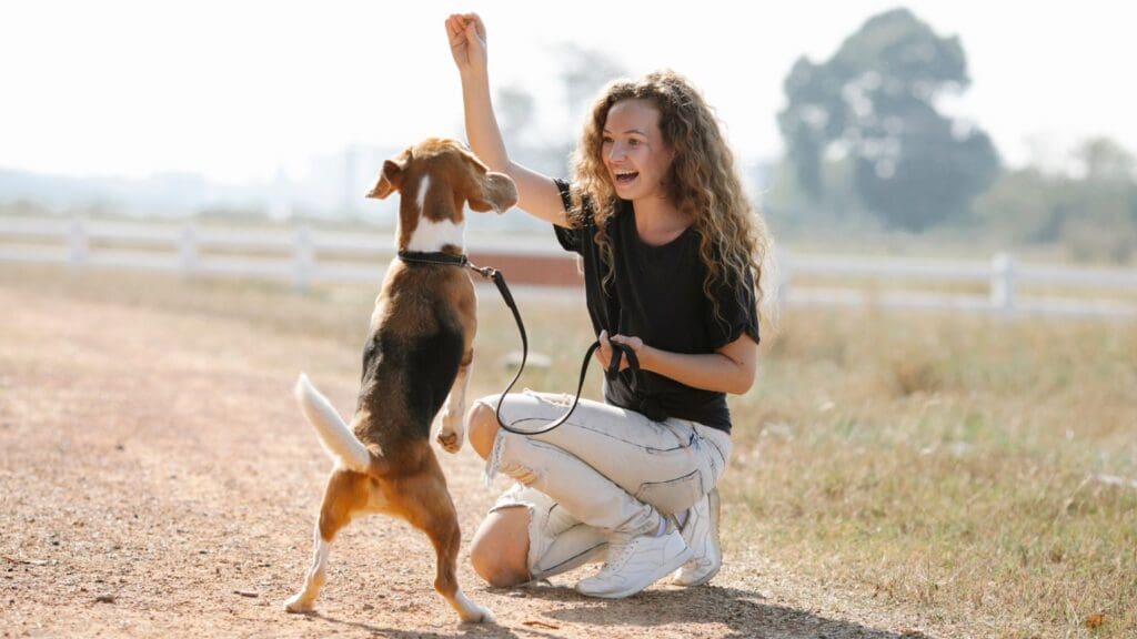 Adiestramiento canino