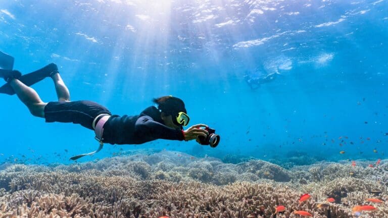 Curso de buceo