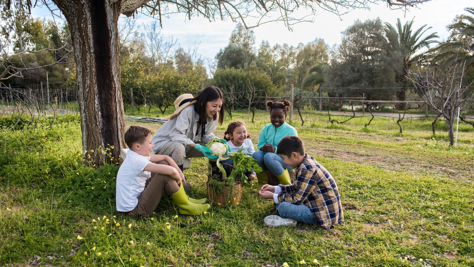 Centros de educación infantil consciente del entorno, la nueva forma de aprender