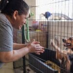 Persona haciendo una donación en una fundación protectora de animales para ayudar en el cuidado y rescate de perros y gatos.