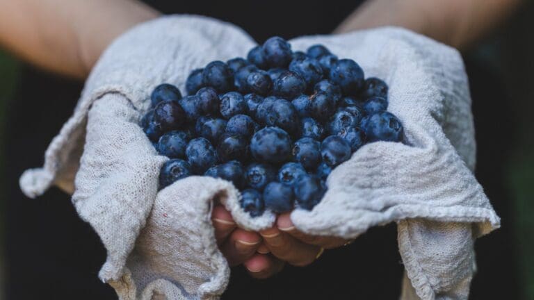 Arándanos sostenibles