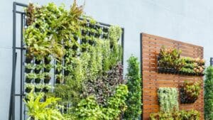 ¿Por qué deberías considerar tener un jardín vertical en casa o en tu negocio?