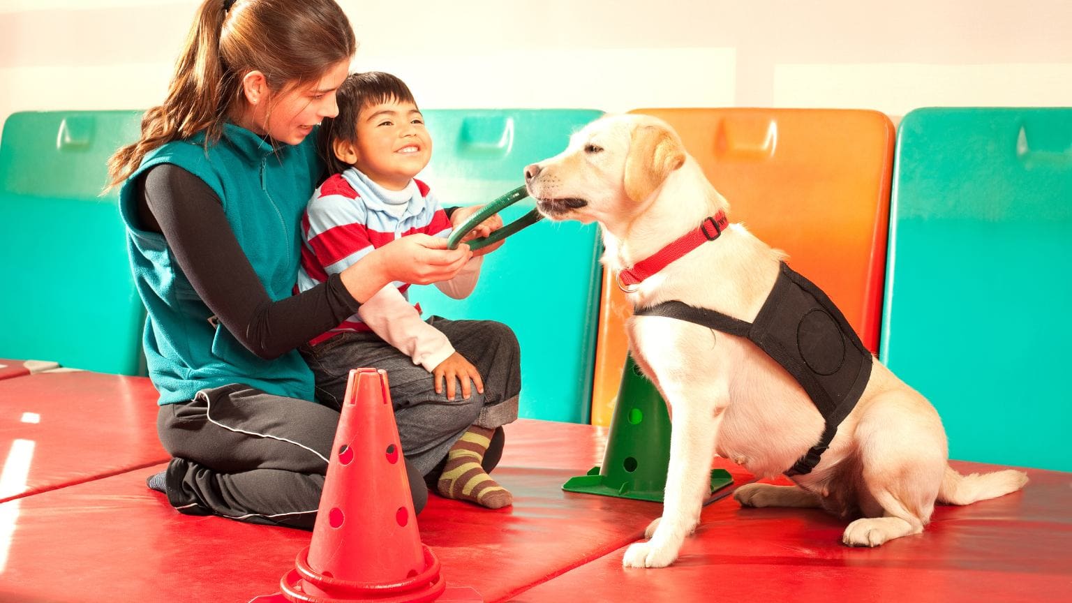 Curso de técnico en intervenciones asistidas con animales, una oportunidad para trabajar con animales y ayudar a personas.