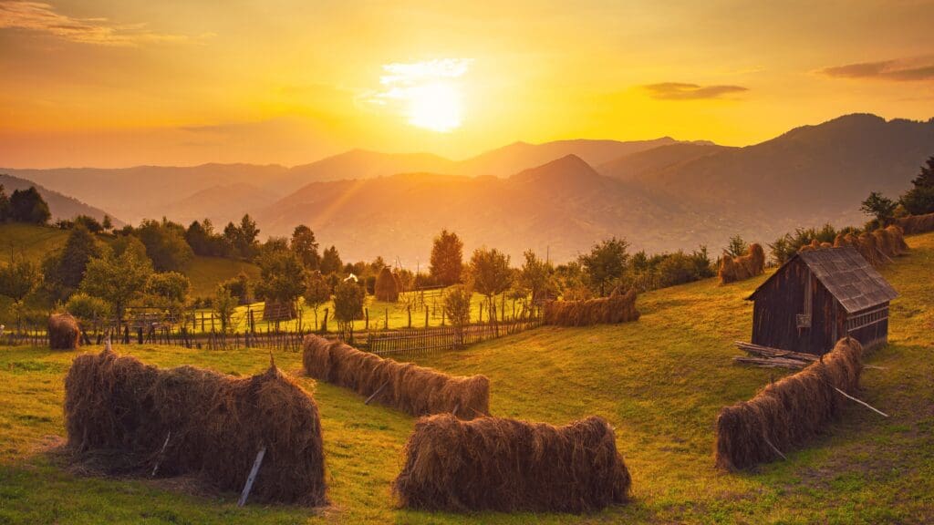 Explora el Turismo Rural en la Costa Blanca. Actividades y Escapadas Inolvidables