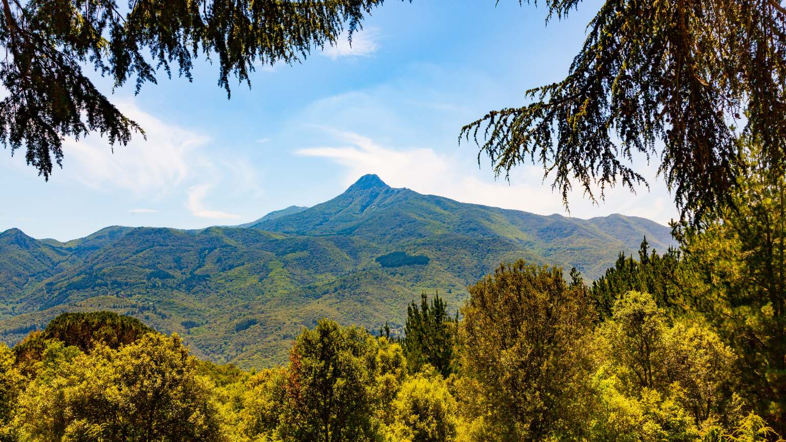 Escapada rural en el Montseny. Un refugio entre naturaleza y tradición.