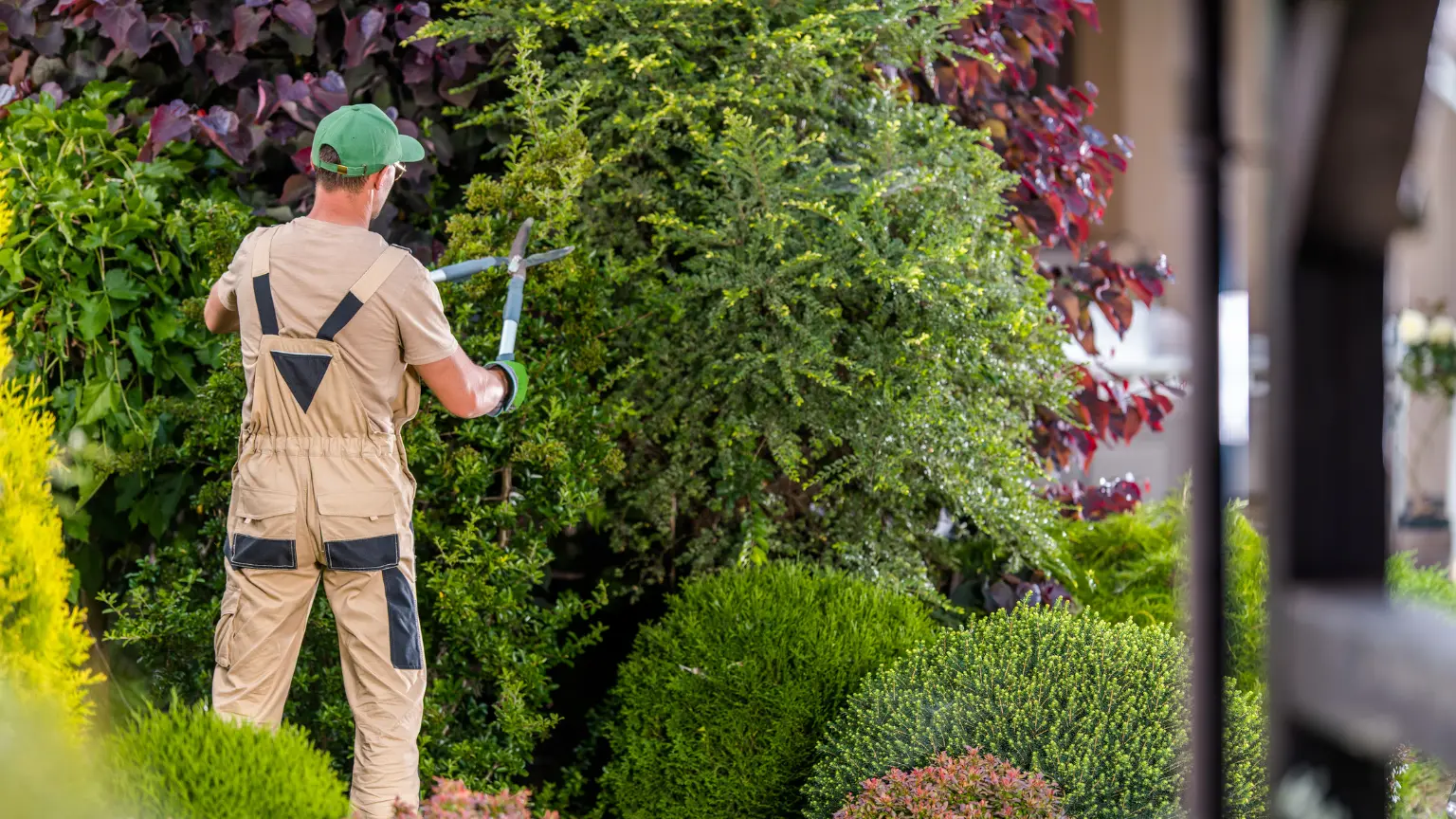 Jardinería y paisajismo: cómo crear y mantener un jardín espectacular