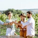 Grupo de personas disfrutando de una cata de vinos en un viñedo durante un tour enoturístico.