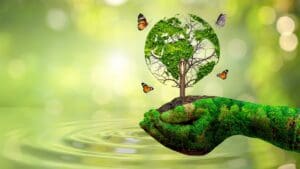 consultoría medioambiental desarrollo sostenible sostenibilidad ambiental estudios medioambientales soluciones medioambientales
