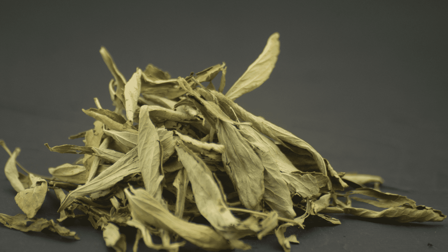 beneficios de la estevia