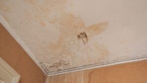Detección de fuga de agua oculta en pared de vivienda, revisión técnica de humedad y reparación de tuberías por servicio de fontanería profesional.
