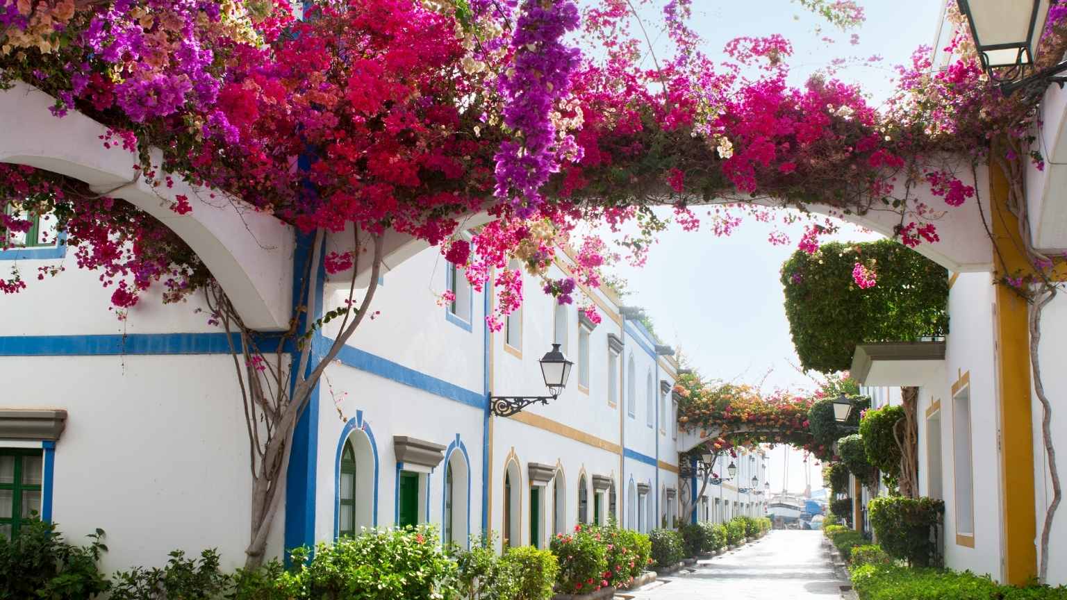 Fachadas blancas con detalles coloridos y flores exuberantes, símbolo del equilibrio entre arquitectura tradicional y el confort que buscan los viajeros actuales en los alojamientos vacacionales.