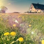 ¿Por qué alojarse en una casa rural es lo mejor para desconectar?