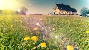 ¿Por qué alojarse en una casa rural es lo mejor para desconectar?