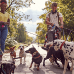 Convivencia urbana con perros en Zaragoza