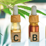 Concepto digital de tiendas cbd online con aceites y productos de cbd