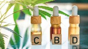 Concepto digital de tiendas cbd online con aceites y productos de cbd