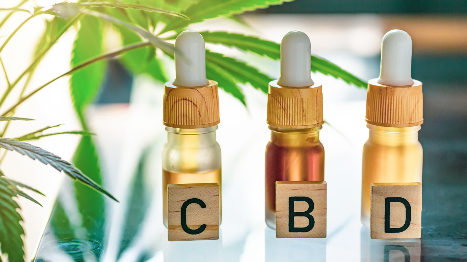 Concepto digital de tiendas cbd online con aceites y productos de cbd