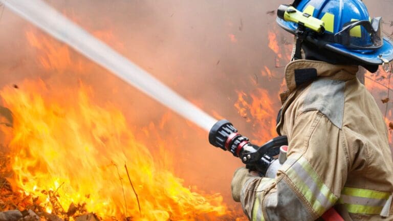¿Cómo prevenir lesiones durante una emergencia forestal?