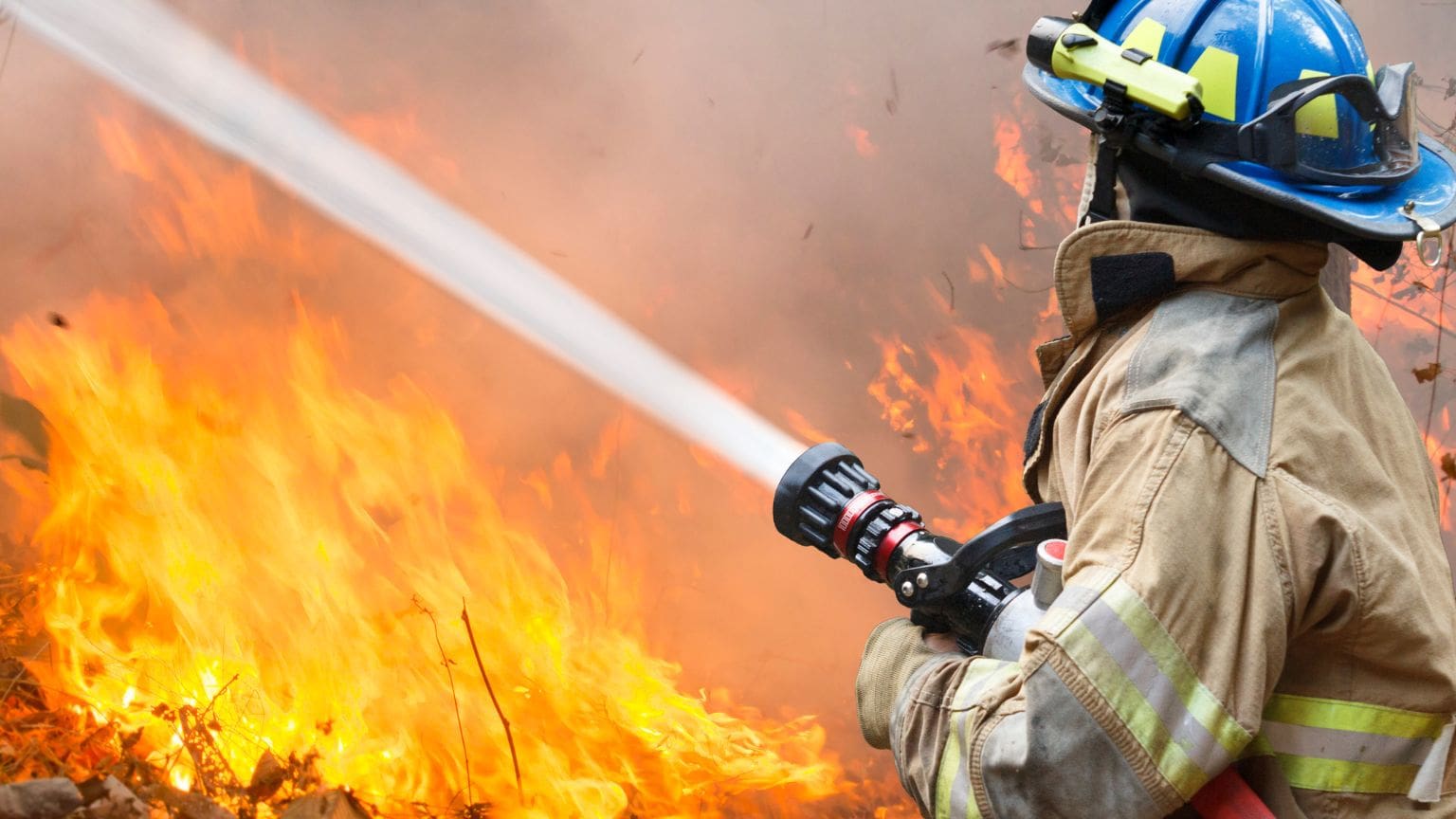 ¿Cómo prevenir lesiones durante una emergencia forestal?