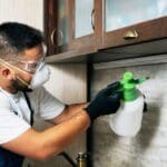 ¿Por qué hay más plagas en otoño y cómo prevenirlas?