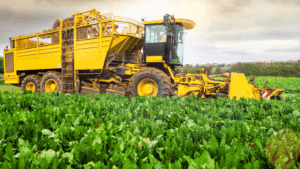 Maquinaria agrícola innovadora fabricada para optimizar la producción de ajo.