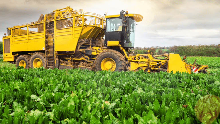Maquinaria agrícola innovadora fabricada para optimizar la producción de ajo.