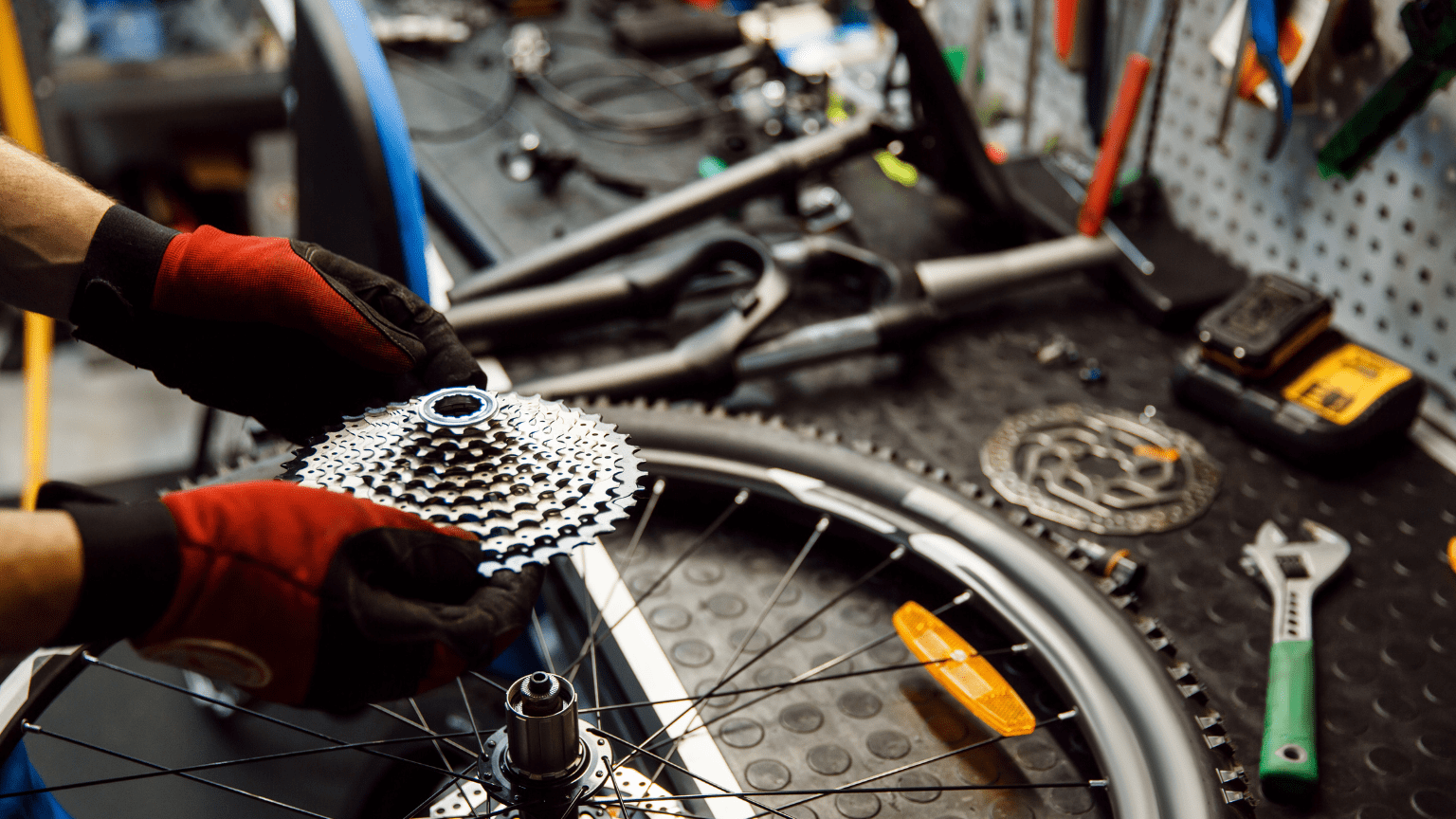 Taller profesional dentro de una tienda de bicicletas revisando una bici de carretera