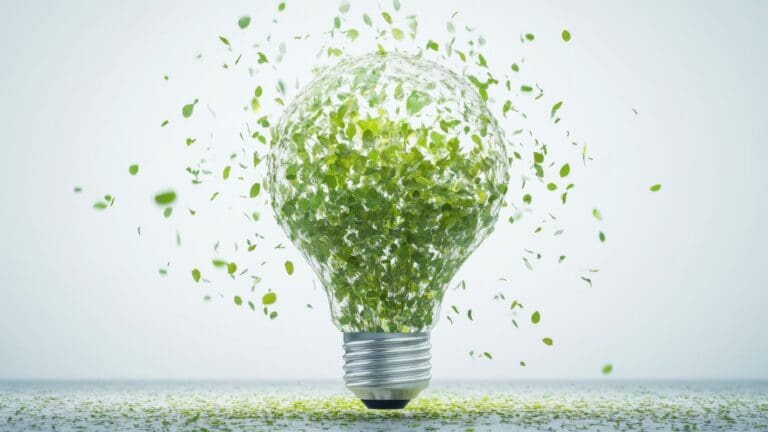 ¿Cómo optimizar el consumo con energía sostenible?