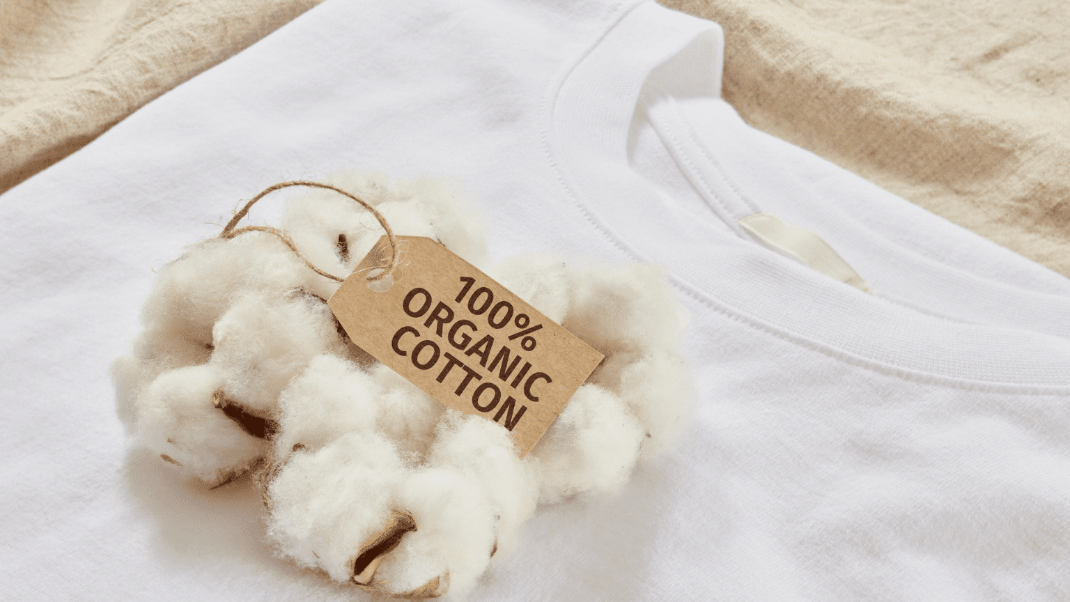 ¿Por qué elegir camisetas ecológicas mejora tu forma de vestir?