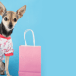 ¿Qué dice el diseño del accesorio que lleva tu mascota?