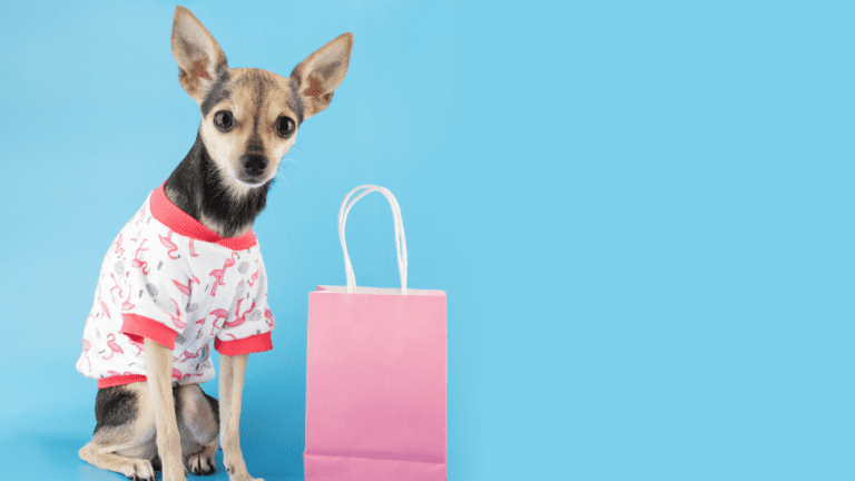 ¿Qué dice el diseño del accesorio que lleva tu mascota?