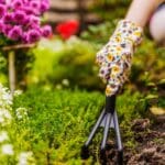 ¿Te gustaría tener un jardín pero no sabes por dónde empezar?