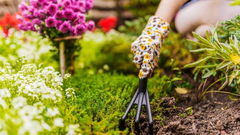 ¿Te gustaría tener un jardín pero no sabes por dónde empezar?