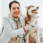 Urgencias veterinarias: 7 signos de alarma que no debes pasar