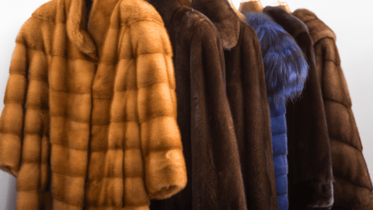 ¿Cómo cuidar y renovar tus abrigos de piel para darles nueva vida?