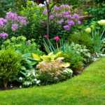 Diseño de jardín naturalista con plantas perennes y gramíneas ornamentales