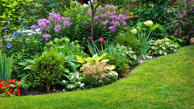 Diseño de jardín naturalista con plantas perennes y gramíneas ornamentales