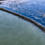 Empresa consultora desarrollando soluciones para pesca sostenible y acuicultura