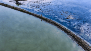 Empresa consultora desarrollando soluciones para pesca sostenible y acuicultura