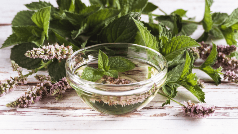 5-infusiones-ecologicas-que-deberias-probar