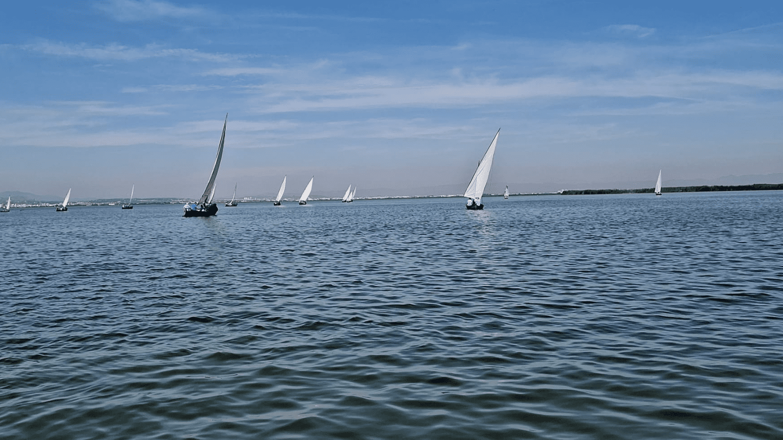parque natural de la Albufera Valencia