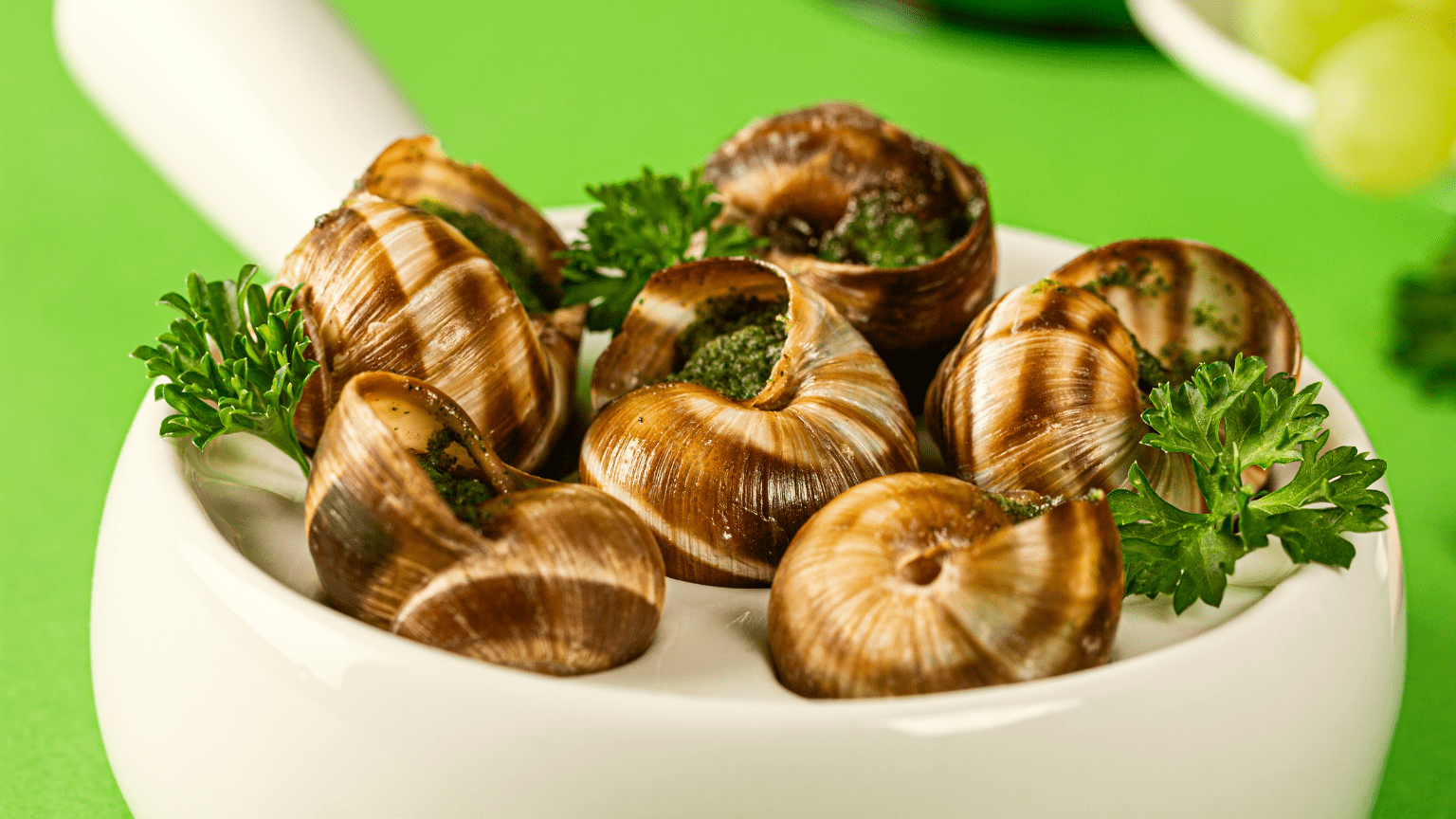 La carne de caracol como alternativa proteica del futuro