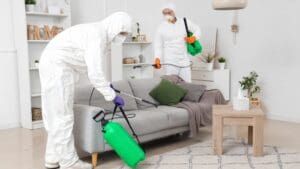 Efectos de las plagas en la salud de las personas dentro del hogar