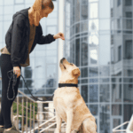 Conducta y bienestar animal