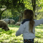 experiencias al aire libre para familias