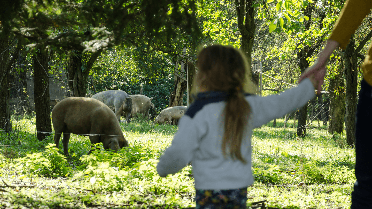 experiencias al aire libre para familias