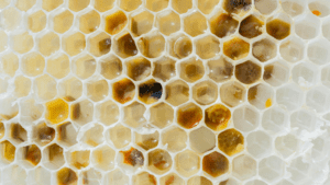 Cera de abejas, ¡usos prácticos que tal vez no conocías!