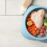 Comida saludable para perro como parte de una alimentación natural para mascotas.